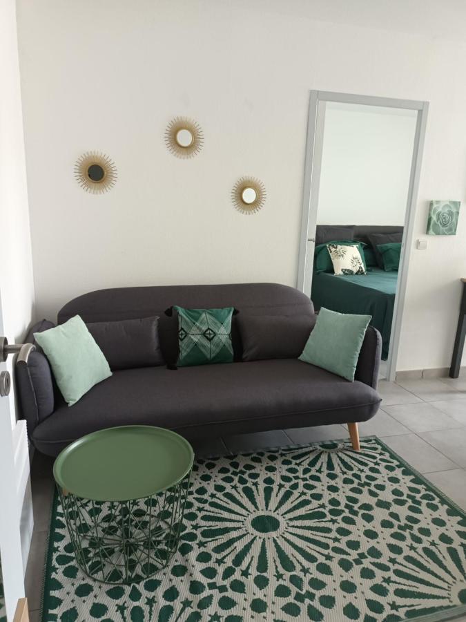 Superbe Appartement Et Parking Proche Du Centre Du Monde แปร์ปินญอง ภายนอก รูปภาพ